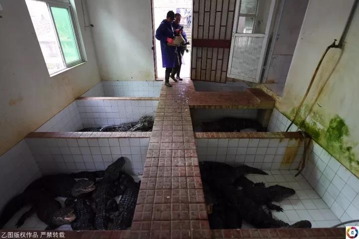 精品乱子伦一区二区三区