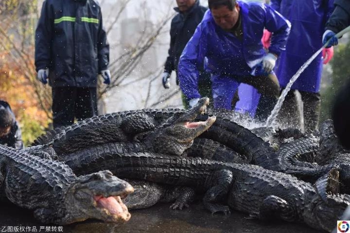中国黄色A级片