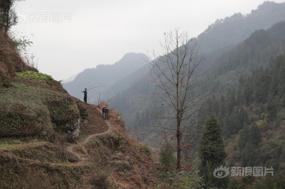 仙堂山风景区门票多钱