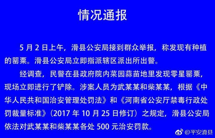 抖 音 网 红 裸体