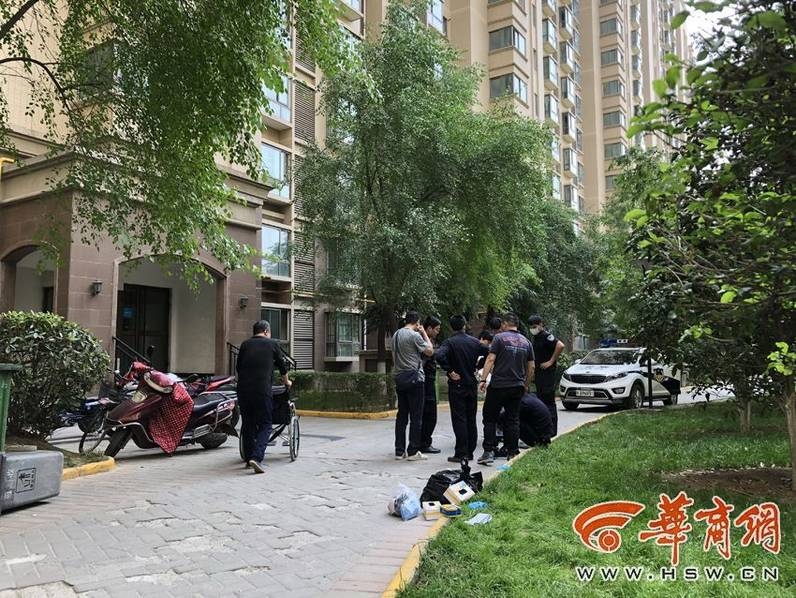 成人 网 战