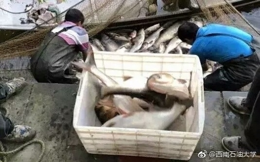 国产精品午夜福利