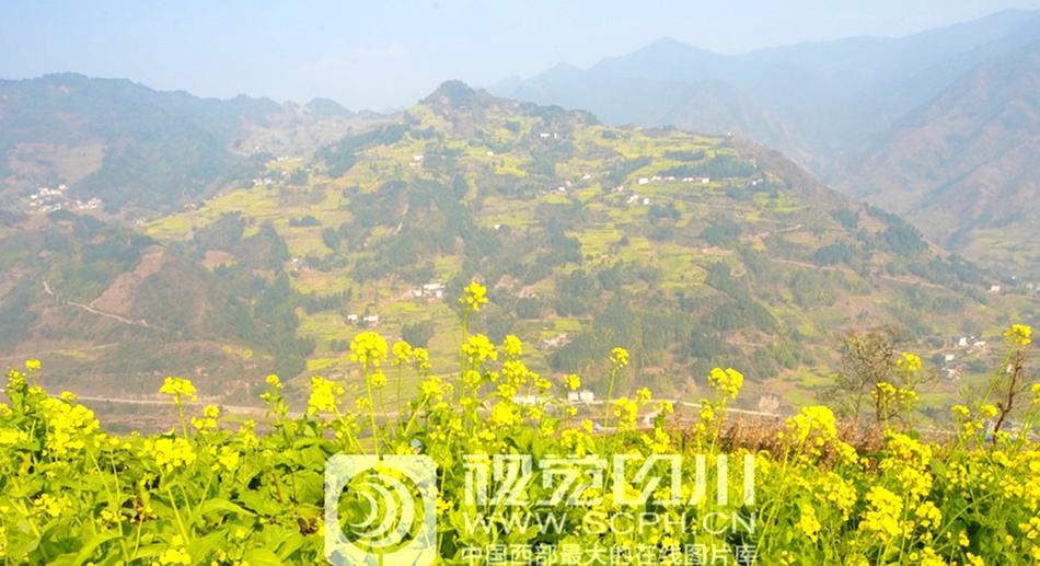 色婷婷五月天
