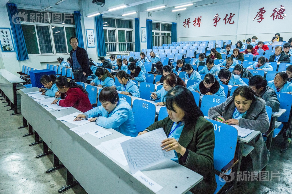 欧美无砖砖区免费