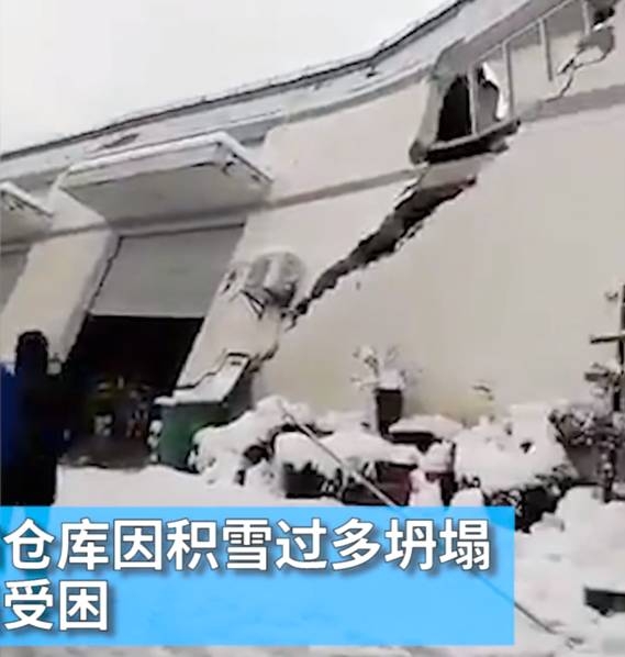 特黄AAAAA免费A片毛多水多