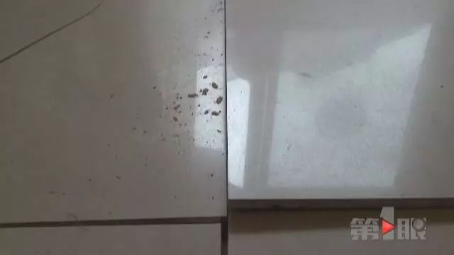 国产高清不卡