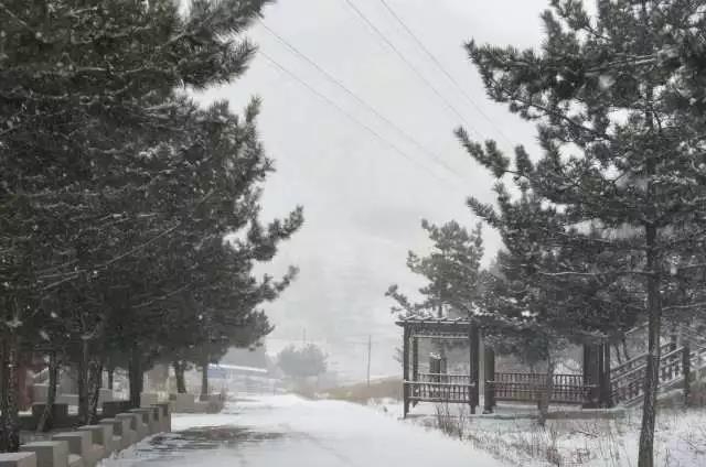 北京飘起了鹅毛大雪 有图有真相