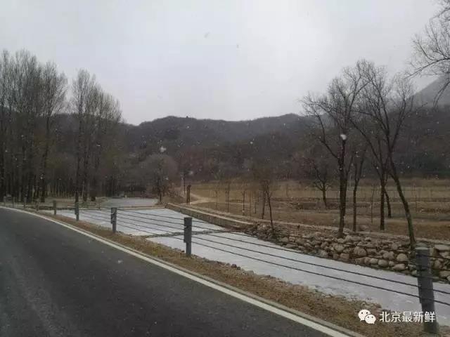 欧美日韩的一级片
