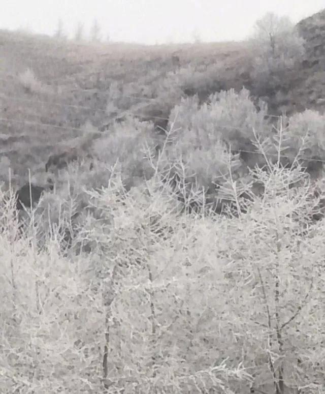 夫妻牲交黄色电影