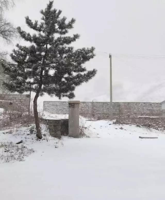 盧靚彭恰恰