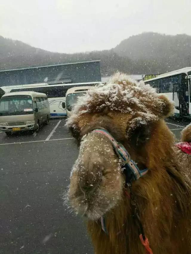 操白丝