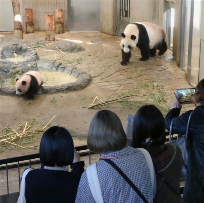 张柏芝艳照无码一区二区三区