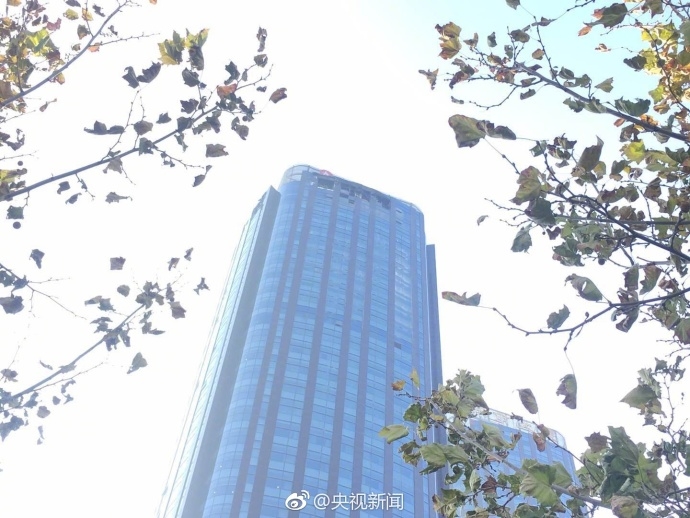 成人 高清 在线