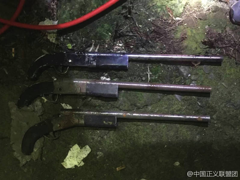 调教老熟妇M奴