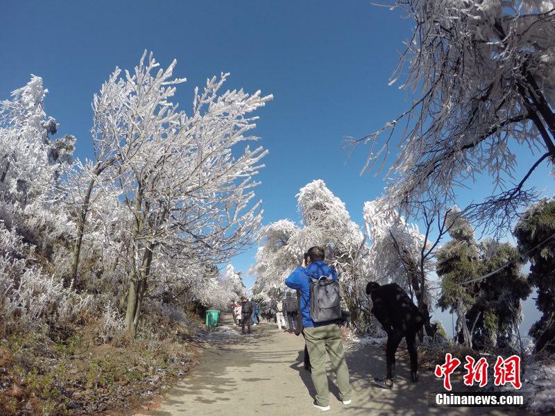 甘雨被 到爽 高潮痉挛动漫