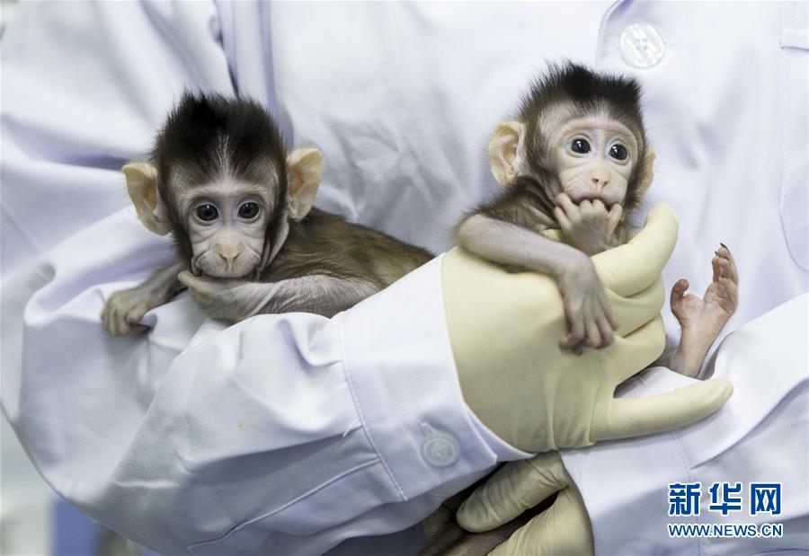 再深点灬舒服灬太大了少妇电视