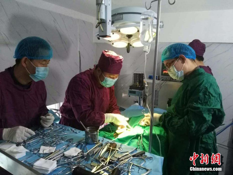 丰裕满贯杨玉环