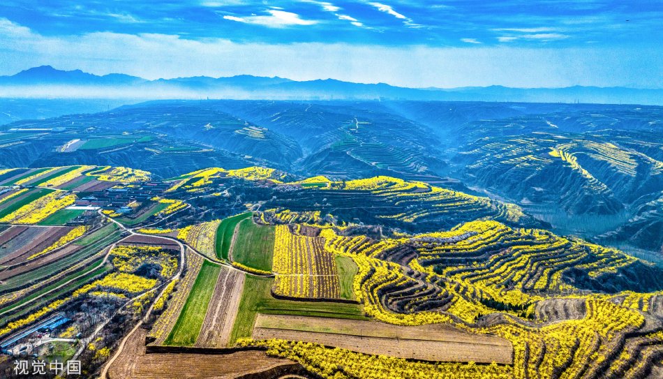 国产又大又粗又爽