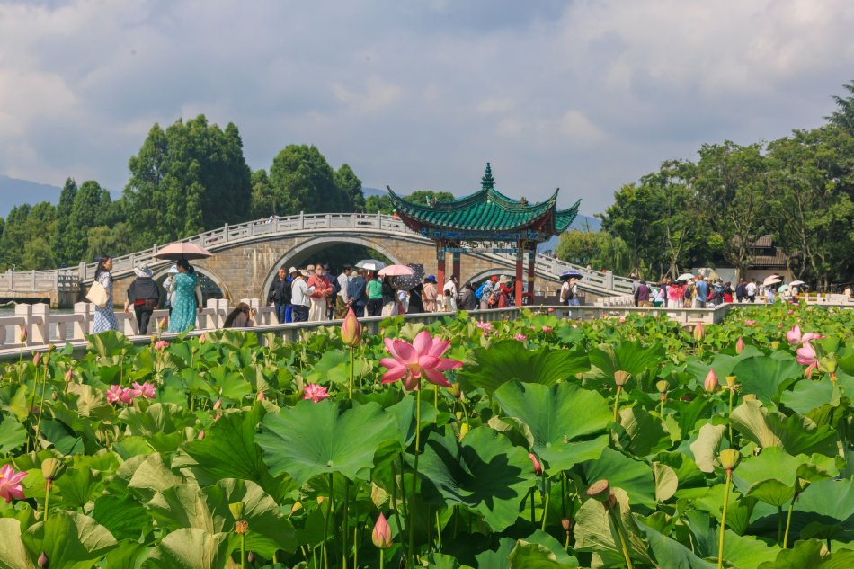 露雞雞