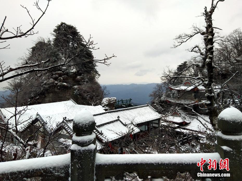 苍井空在厨房被吸奶头电影