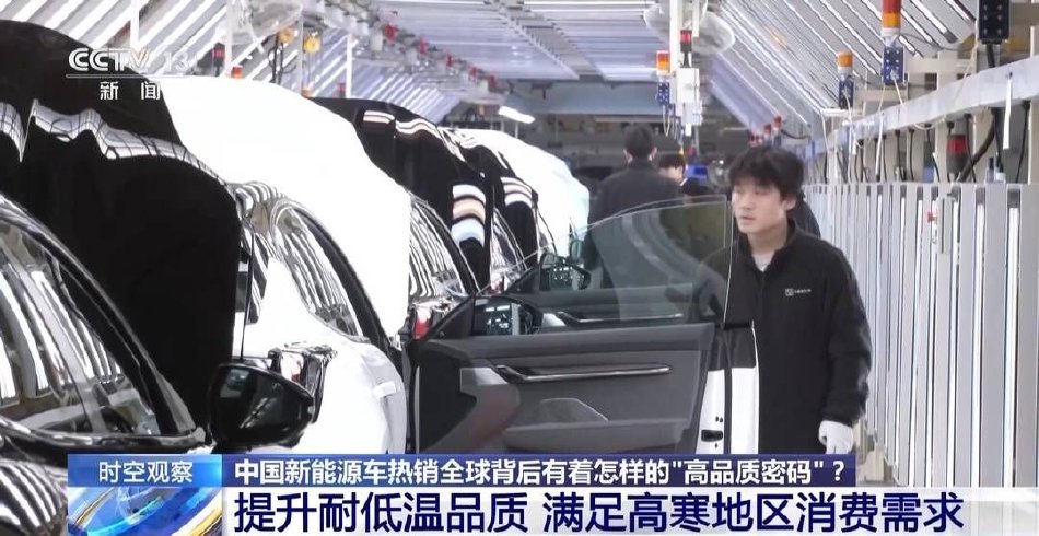 免费 A 片 直播 网