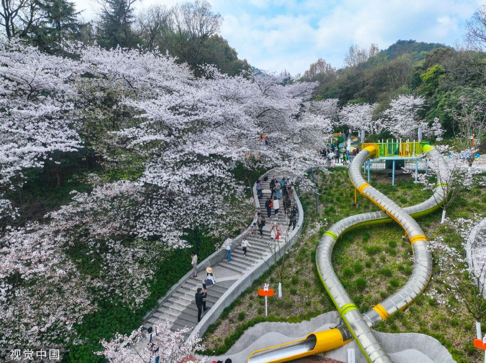 台湾乱伦激情戏