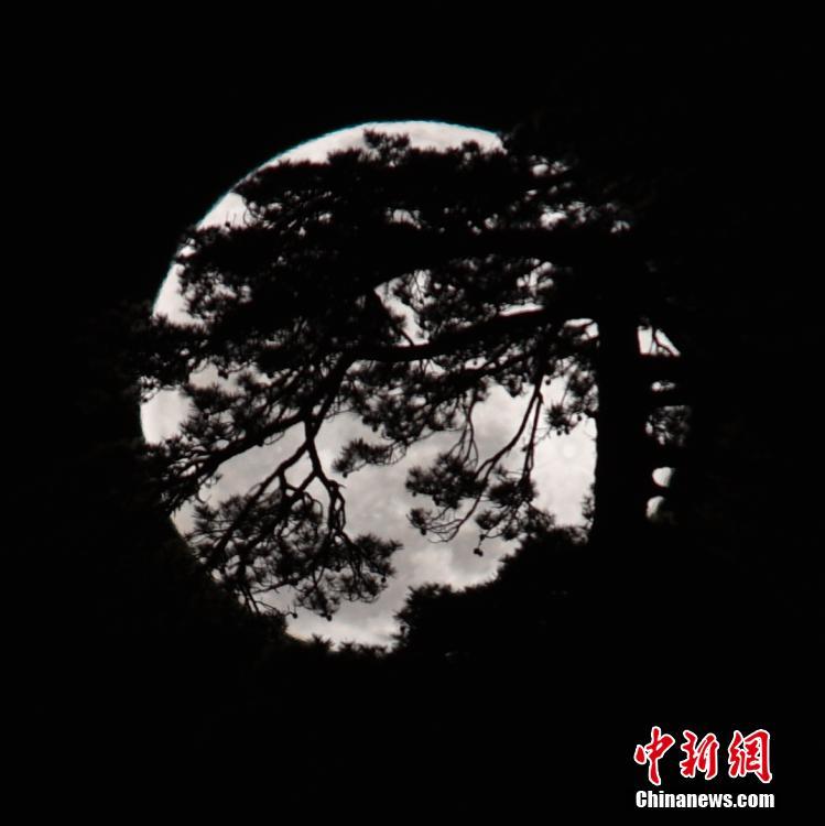 开心播播网