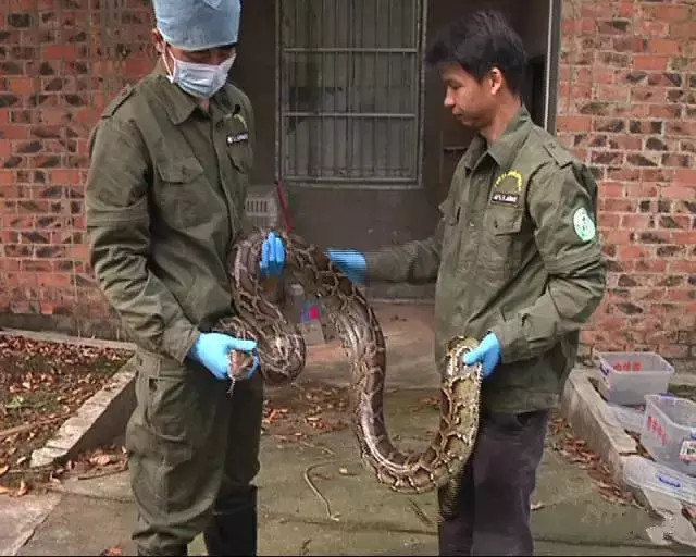 小林龍介