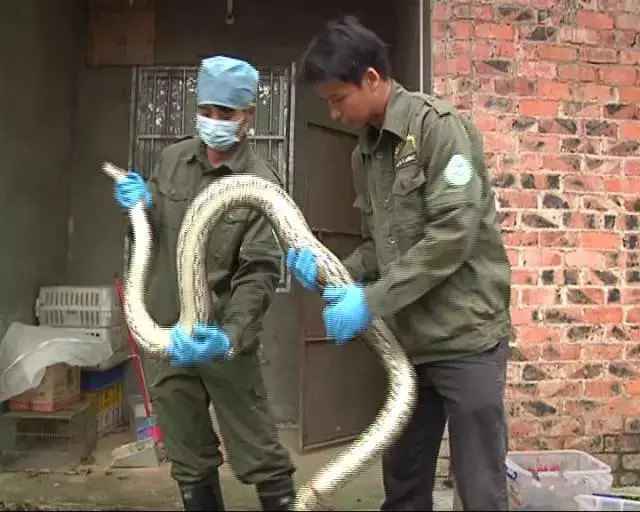 女人张开腿让男人捅