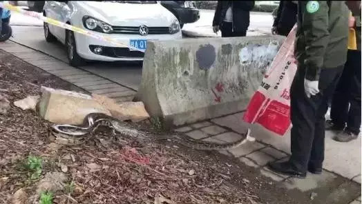 脫光