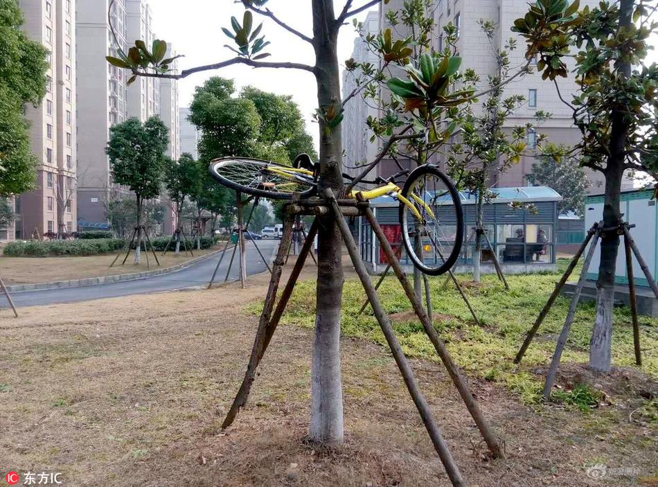 黄色录像台湾，香港三级片