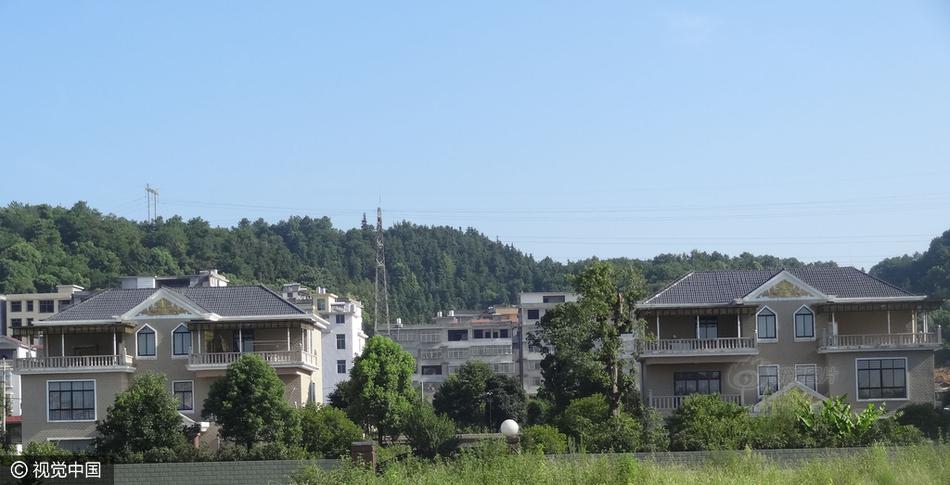 黄色短视频,网站