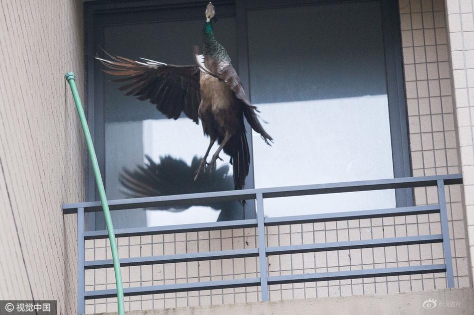 高清 性爱 影片