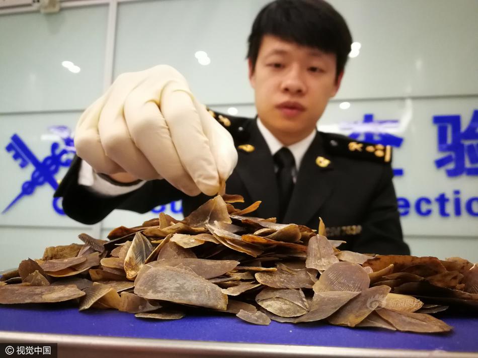 免费 国产 色情 网站