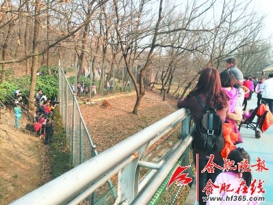黄色的试频