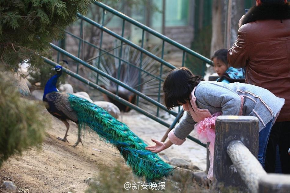 欧洲老寡妇老妓女老女人
