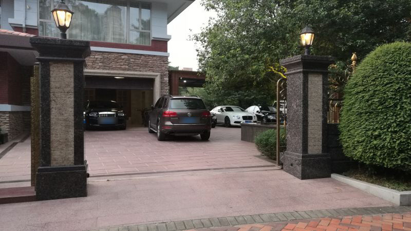 免费的毛片