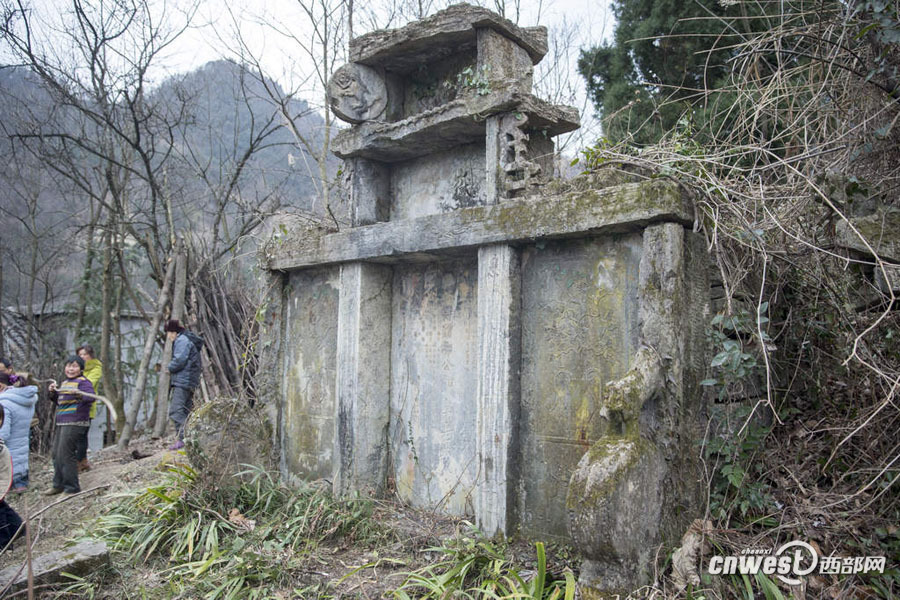 裸替沈樵