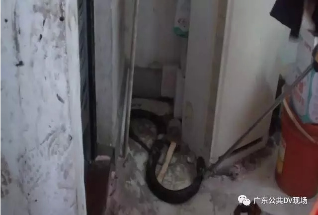 欧洲美女与动交ZoZ00
