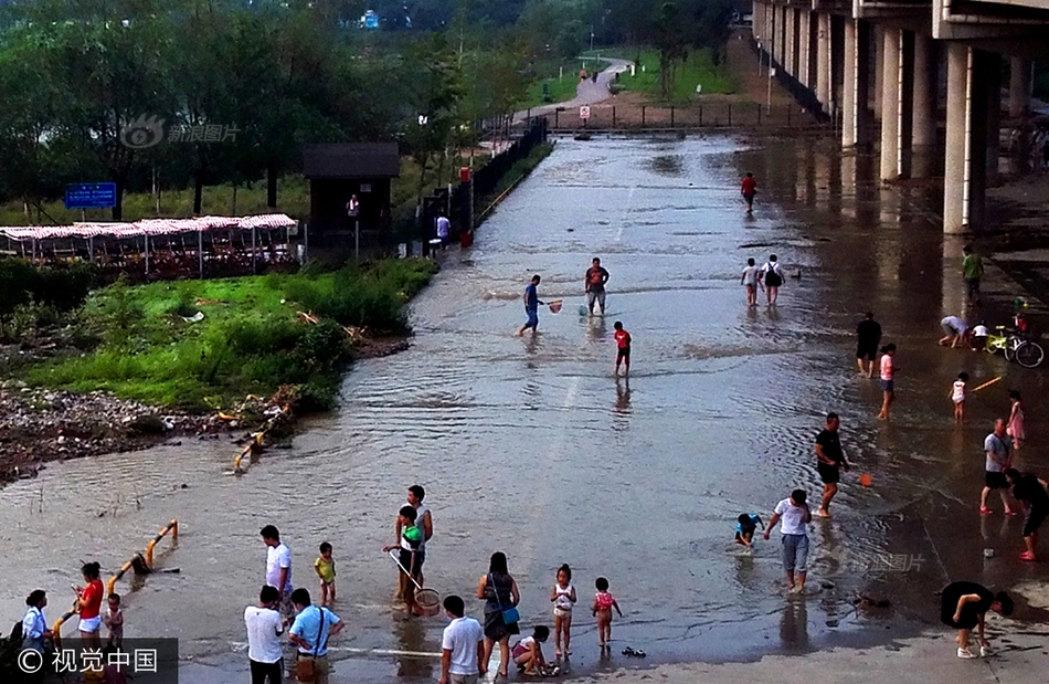 北京暴雨过后 莲石湖畔市民捉鱼忙