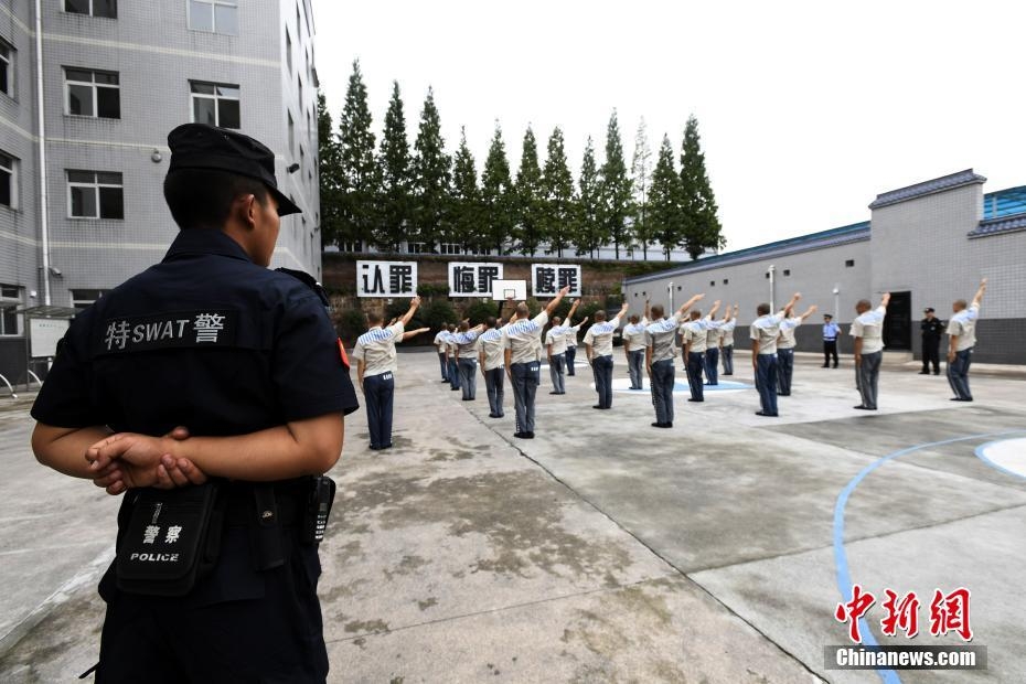 色情 网 大全