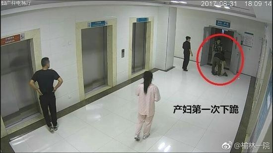 真菜果