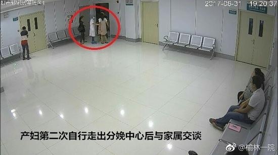 Zoom与动物Zoom大全