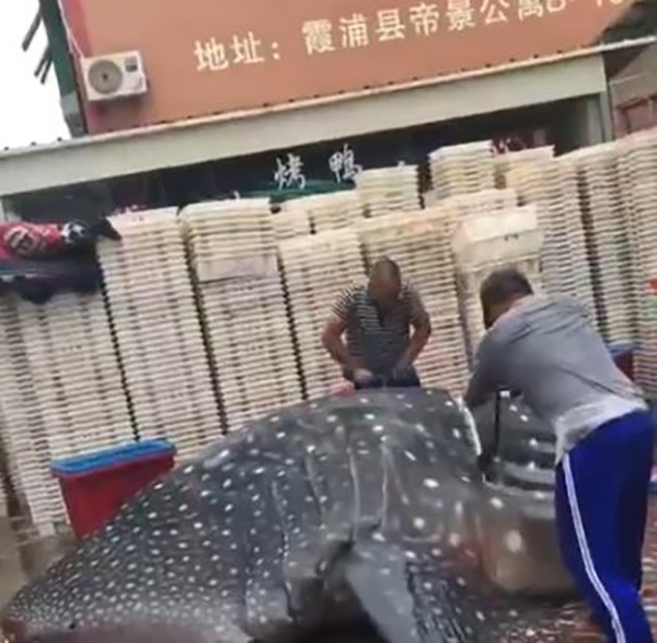 好爽 好紧 H电车痴汉