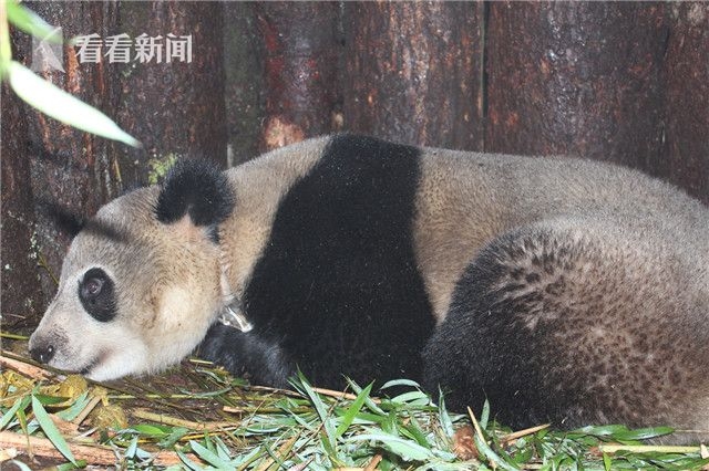 色情 电影 在线 看