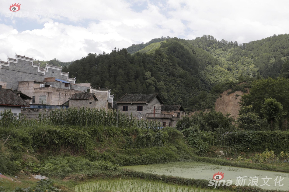 免费黄色孕妇一级片