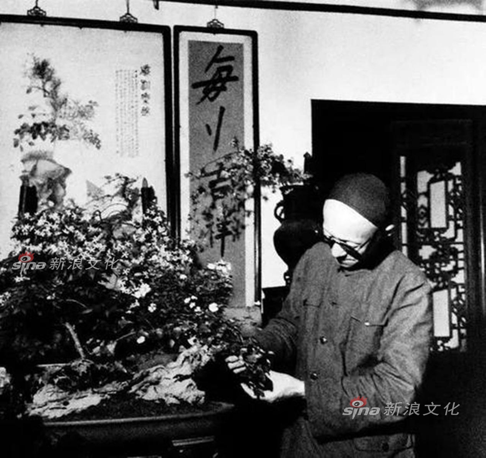 丰满农村中年熟妇Aⅴ在线观