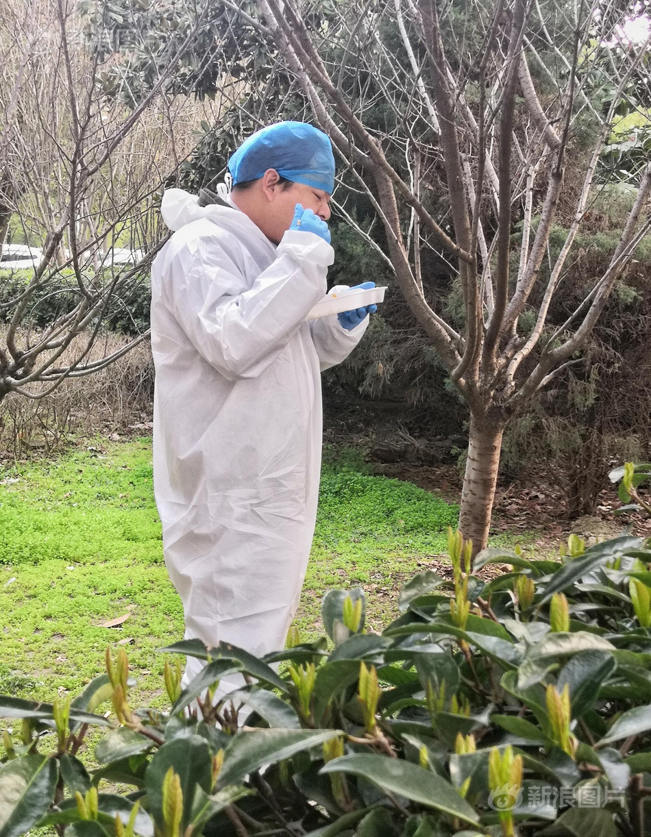 人妻被公牛疯狂进入