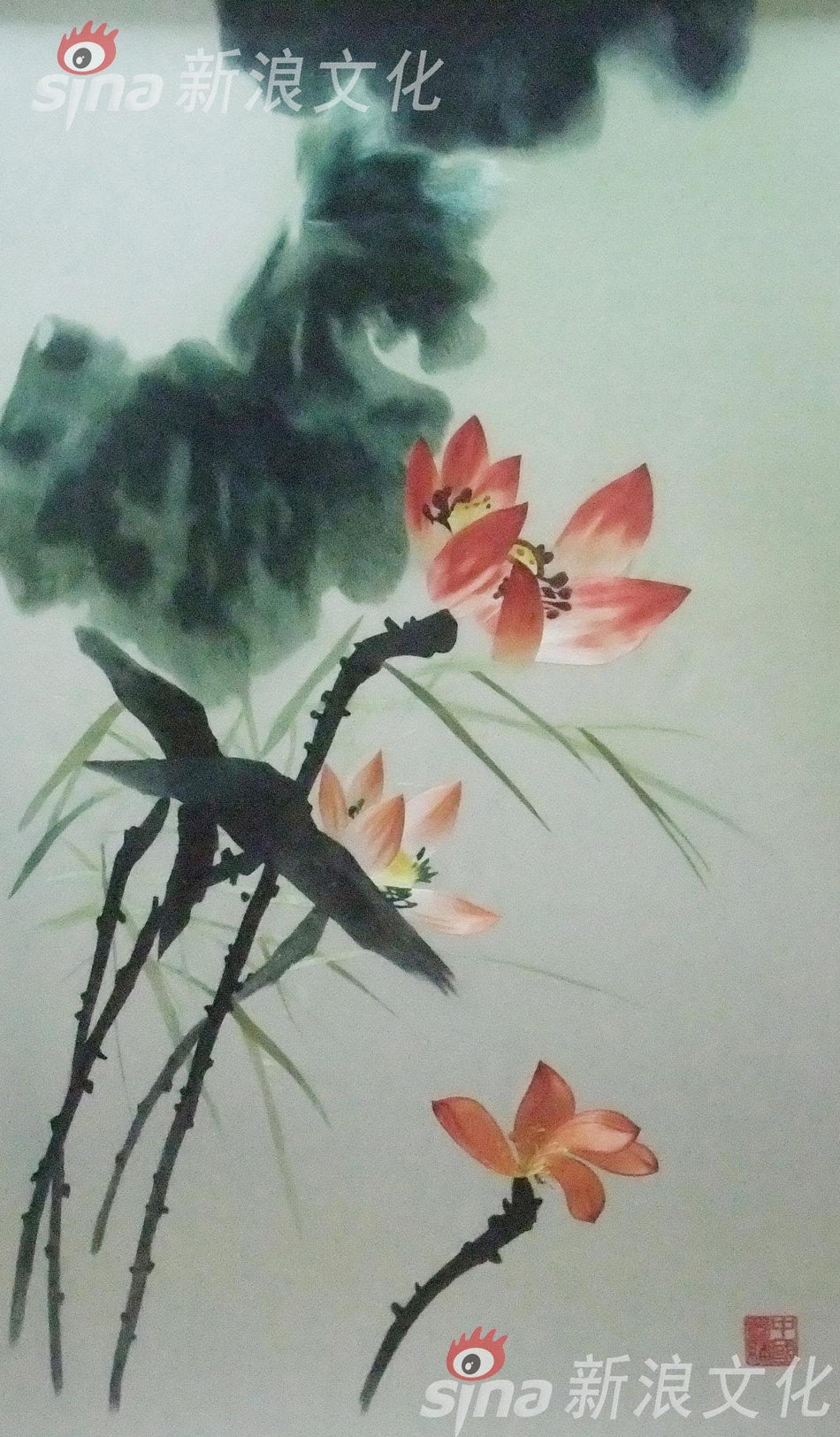 簡愷樂