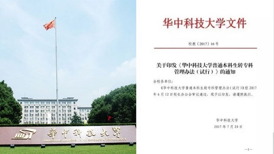 在线不卡AV
